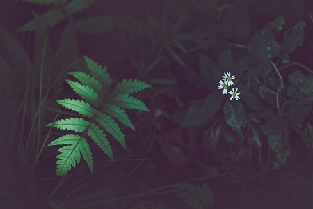 西南大學在職研究生兩大招生類型！