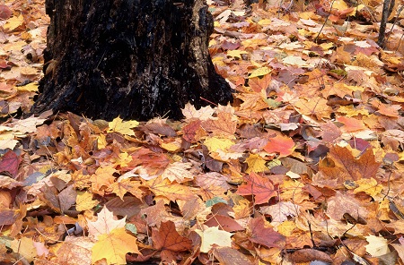 武漢工程大學非全日制研究生MBA專業正在招生中! 武漢工程大學非全日制研究生MBA專業正在招生中!