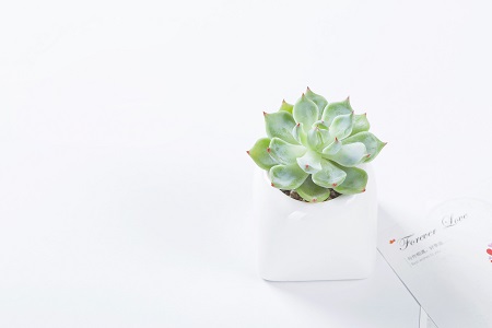 專業推薦！中國科學院心理研究所在職研究生熱門招生專業