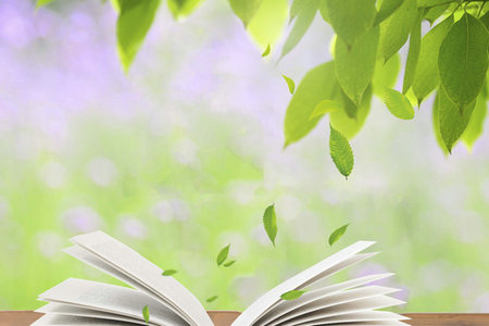 西南科技大學金融專碩招生條件 西南科技大學金融專碩招生條件