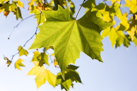 江西師范大學在職研究生招生動態 江西師范大學在職研究生招生動態