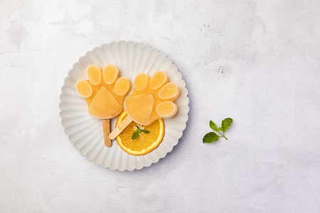 中國社會科學院研究生院在職博士招生條件介紹