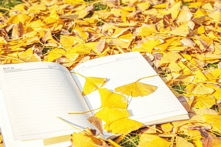 競賽組織非全日制研究生招生人群 競賽組織非全日制研究生招生人群