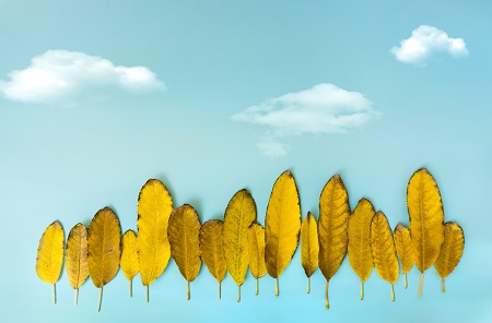 2022年南昌大學MPA招生流程介紹！