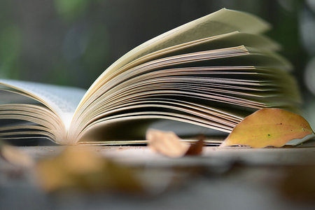 山東大學國際貿易學在職研究生招生信息