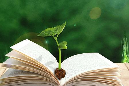 中國地質大學(北京)同等學力申碩招生簡章