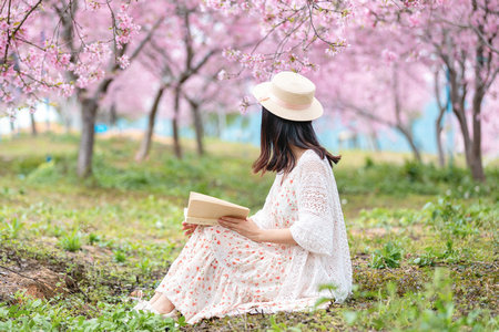 比利時列日大學國際博士招生簡章