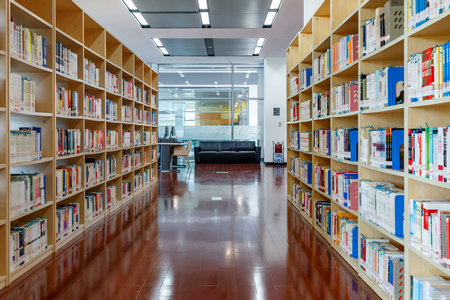 法國ESG高等商學院招生人群 法國ESG高等商學院招生人群