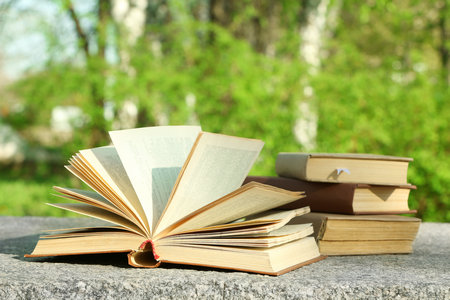 美國北亞利桑那大學招生人群