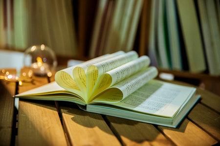 美國北亞利桑那大學(xué)招生流程 美國北亞利桑那大學(xué)招生流程