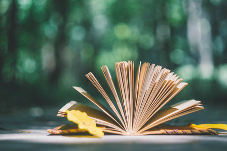 英國薩?？舜髮W在北京地區招生情況