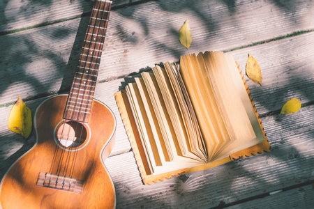 英國密德薩斯大學在北京地區招生情況