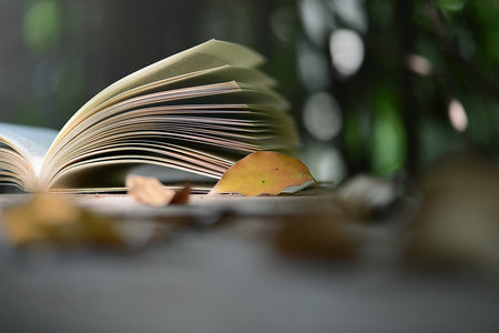 上海財經大學MF招生簡章