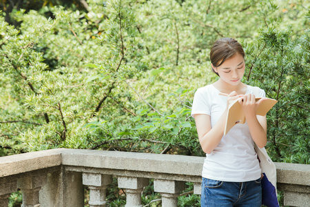 西安外國語大學MPAcc招生人群及動態解析！
