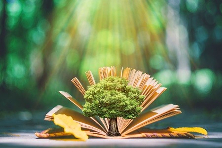 須知!經濟學在職研究生招生條件+招生院校+學制學費