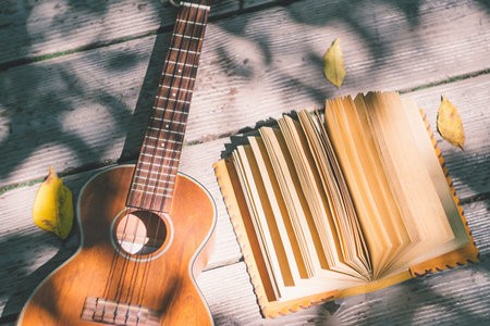 你了解西南財(cái)大非全日制研究生的招生流程嗎？