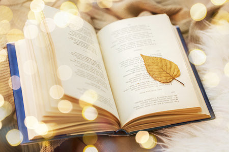 金融學(xué)國際碩士招生簡章2025