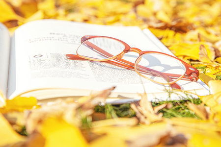 發展與教育心理學在職博士招生簡章