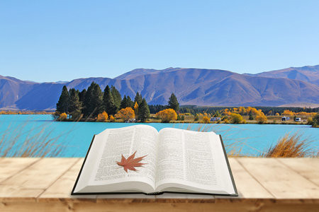 2025年河南工業(yè)大學(xué)在職研究生招生簡章