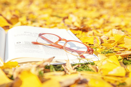 2025年集美大學在職研究生招生簡章