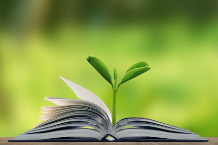 教育領(lǐng)導(dǎo)與管理中外合辦招生信息