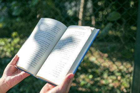 法國亞眠高等商學院國際博士招生簡章 法國亞眠高等商學院國際博士招生簡章