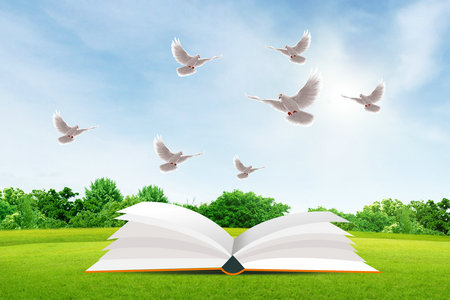 法國亞眠高等商學院國際博士招生條件 法國亞眠高等商學院國際博士招生條件