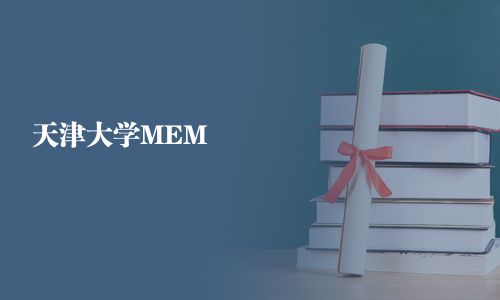 天津大學MEM
