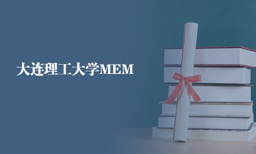 大連理工大學MEM