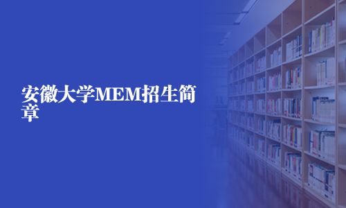 安徽大學MEM招生簡章