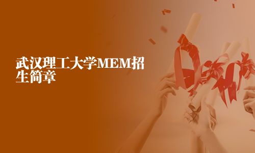 武漢理工大學MEM招生簡章