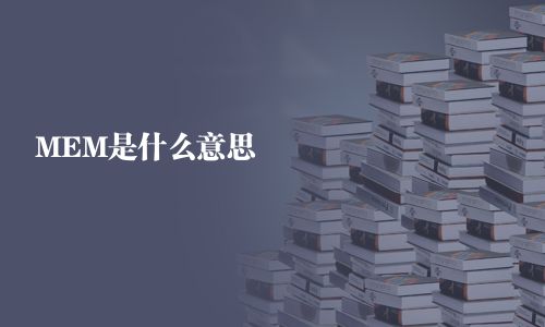 MEM是什么意思