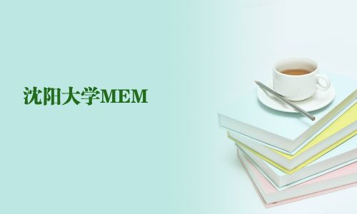 沈陽大學MEM