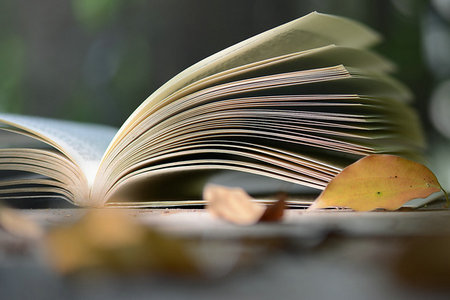 西南財經大學在職研究生報考條件及報名時間