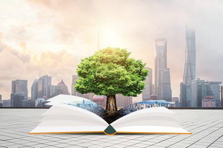 東北財經大學非全日制研究生法律(法學)碩士招生信息 東北財經大學非全日制研究生法律(法學)碩士招生信息