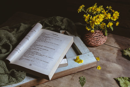 中國政法大學知識產權法在職研究生招生信息