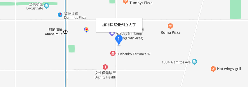 美國(guó)加利福尼亞州立大學(xué)