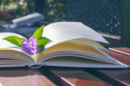 俄聯邦總統國家行政學院MBA招生流程