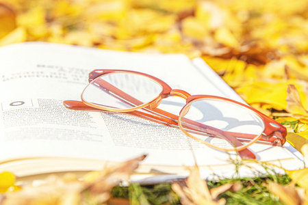 中國社會科學院研究生院勞動經濟學在職博士上課方式