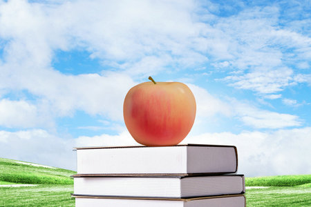 河南師范大學(xué)農(nóng)業(yè)工程與信息技術(shù)非全日制研究生招生信息 河南師范大學(xué)農(nóng)業(yè)工程與信息技術(shù)非全日制研究生招生信息