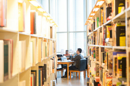 上海國家會計學(xué)院同等學(xué)力招生流程