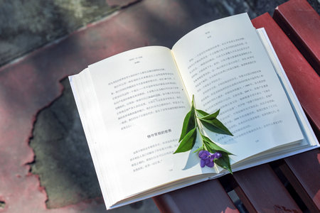 揚州大學同等學力申碩招生專業