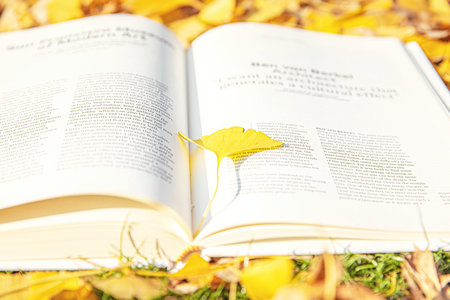 2024年非全日制研究生報(bào)名條件