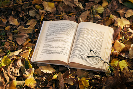 江西師范大學物理學在職研究生招生對象 江西師范大學物理學在職研究生招生對象