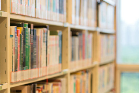 上海外國(guó)語(yǔ)大學(xué)MPA報(bào)考條件