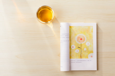 關(guān)于安徽理工大學(xué)MEM的調(diào)劑流程