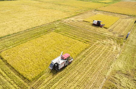 教育部明確了!農業工程類有這7個專業! 教育部明確了!農業工程類有這7個專業!
